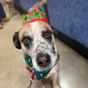 Meet your Posher, Freddi